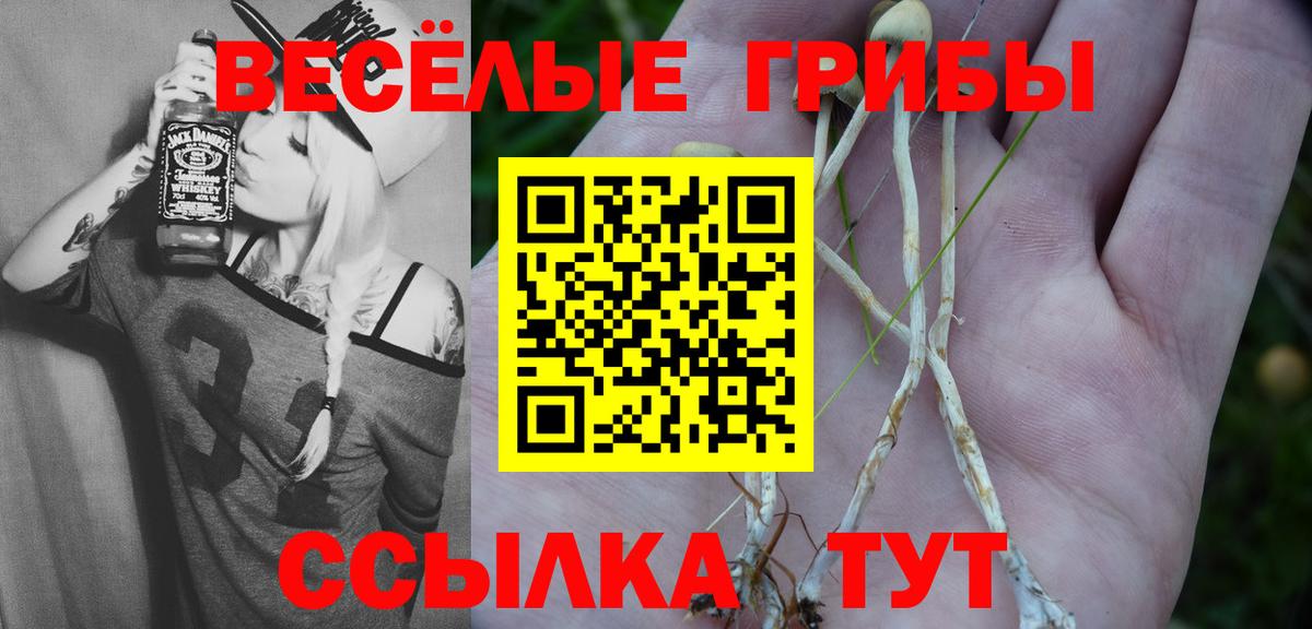 Галлюциногенные грибы GOLDEN TEACHER Североуральск