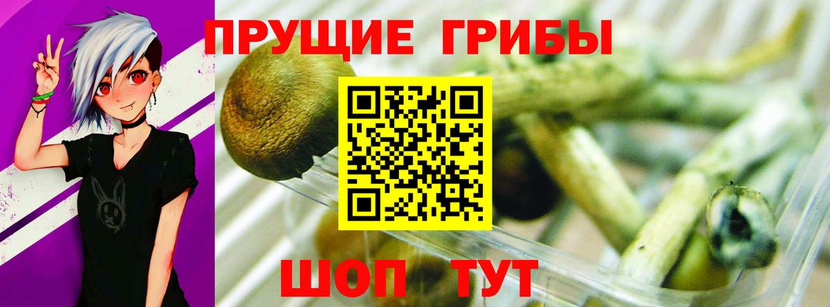 Североуральск  Галлюциногенные грибы прущие грибы  Вход с VPN  Псилоцибиновые грибы прущие грибы 